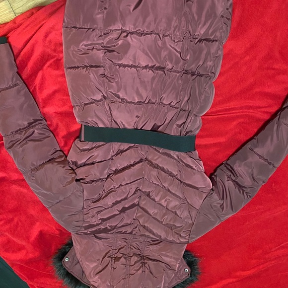 Winter jacket - Picture 5 of 5